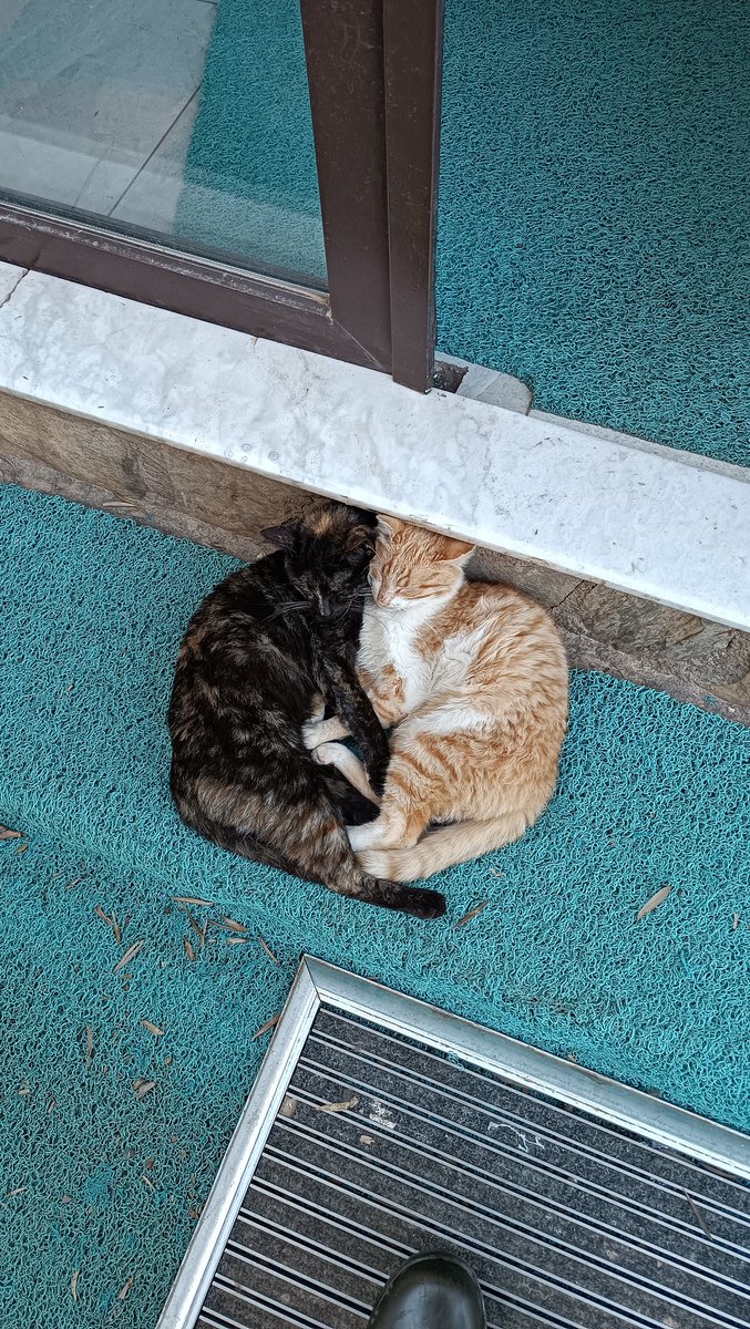 isolandik's tweet photo. "Eksik, fazladan çok yer kaplar.." https://t.co/wDNLJr5Ywa