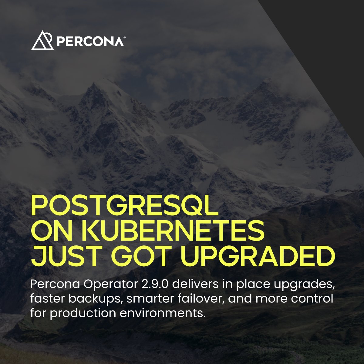 Percona tweet media