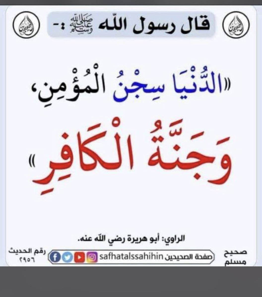 بندر tweet media