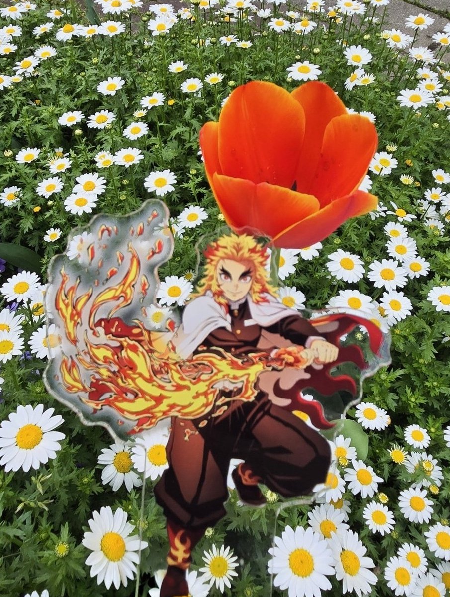 yomoppy焔🔥浮上ムラ凄TL低反応🙇‍♀️ tweet media