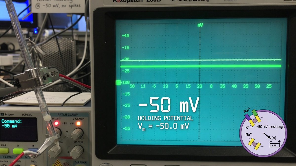 432 Hz Stream tweet media