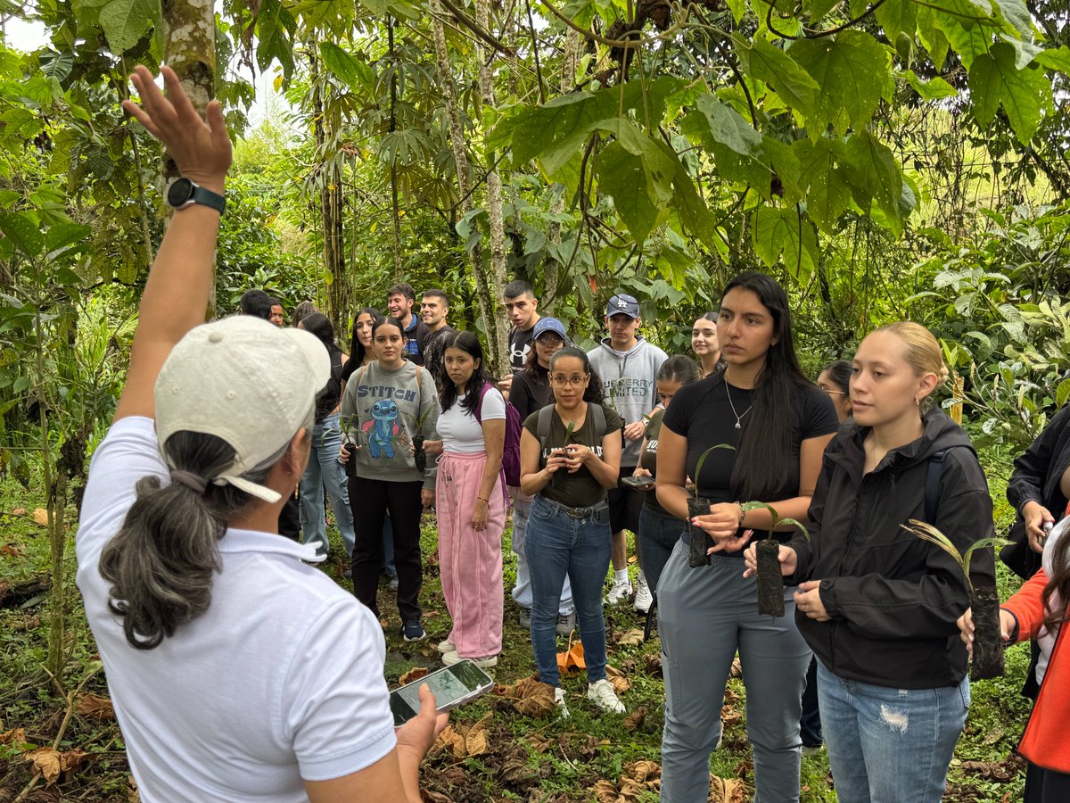 Uvonhumboldt's tweet image. 🌳 Estudiantes, docentes y aliados unieron esfuerzos para sembrar vida, fortalecer la conciencia ambiental y dejar huella en nuestro entorno.

Cada árbol plantado representa esperanza, futuro y responsabilidad.

#fyp #seguidores #universidad #humboldt