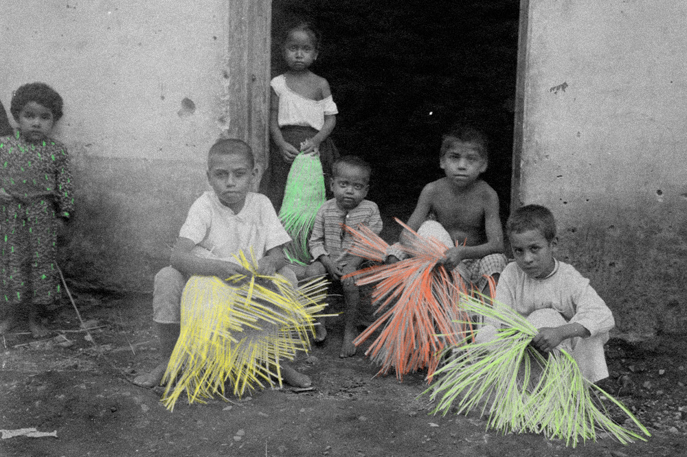 MemoricaMexico's tweet image. La fabricación de sombreros de palma y la recuperación de memoria comunitaria son una misma tarea. En cuevas y almacenes, esta herencia se transmite entre generaciones.

Conoce más: tinyurl.com/4p7f663y

#HazMemoria #Palma #Historia