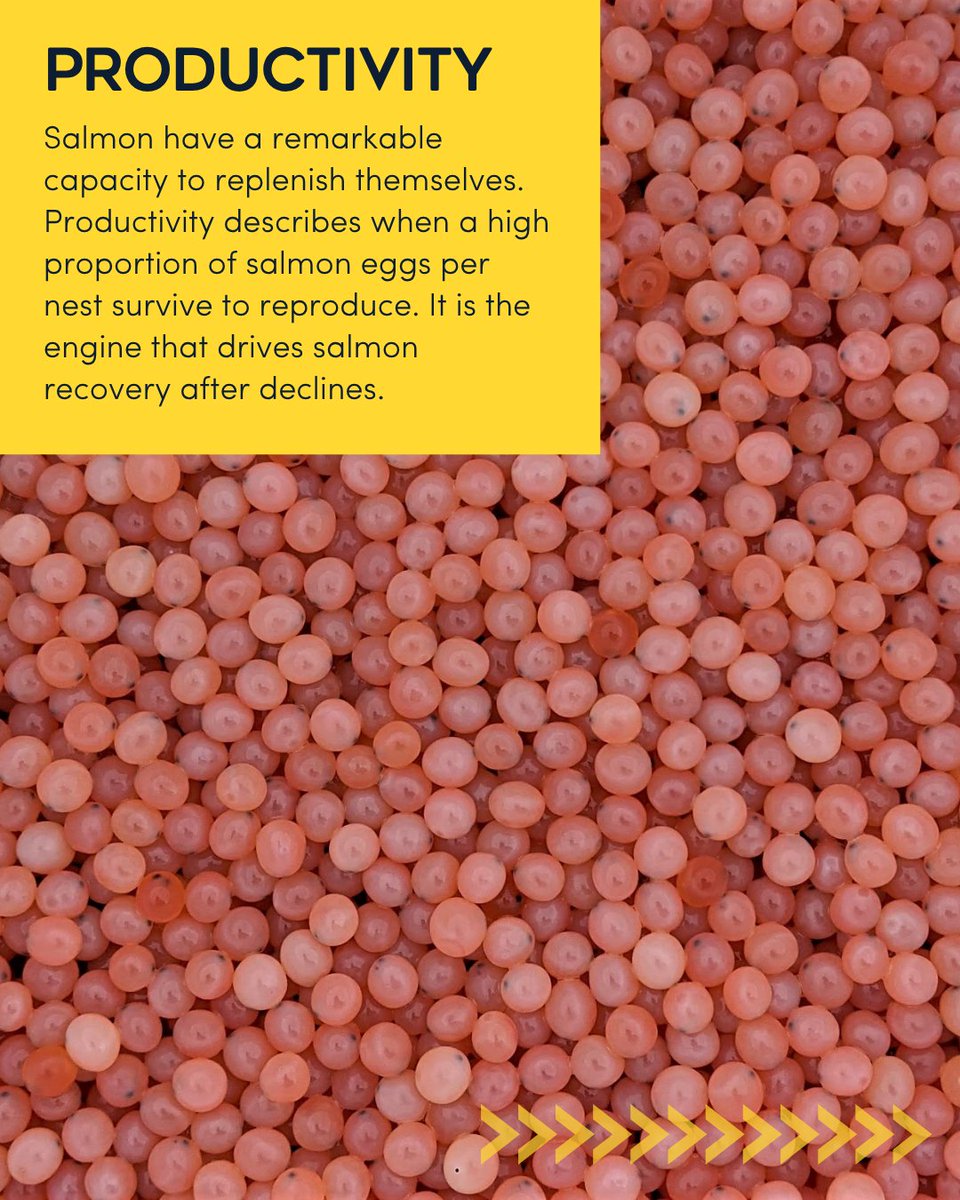 PACIFIC SALMON FOUNDATION tweet media