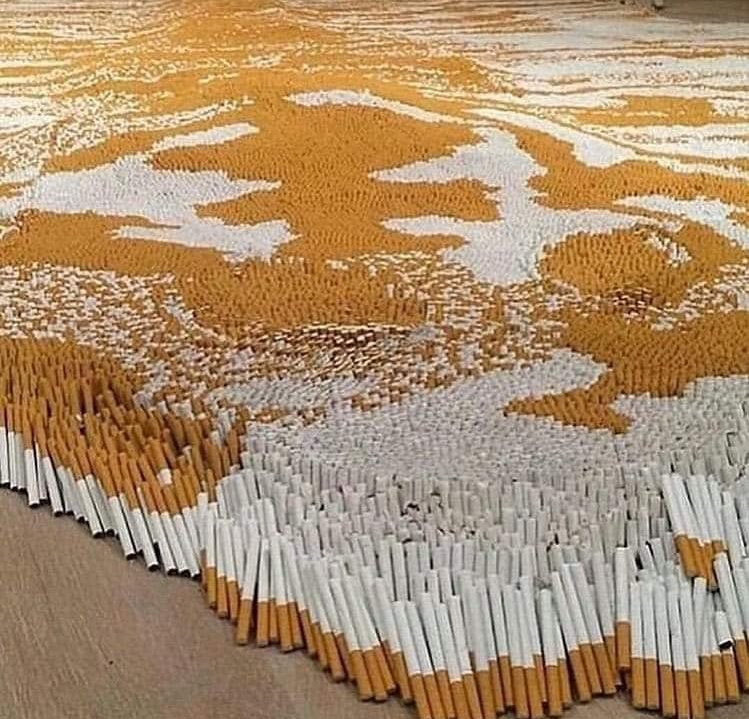محمالكَّني مؤقتاً tweet media