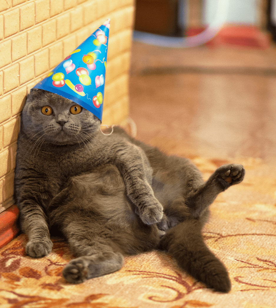 sweterflayer's tweet photo. +21 😀🥳 https://t.co/iVkQfUkbBd