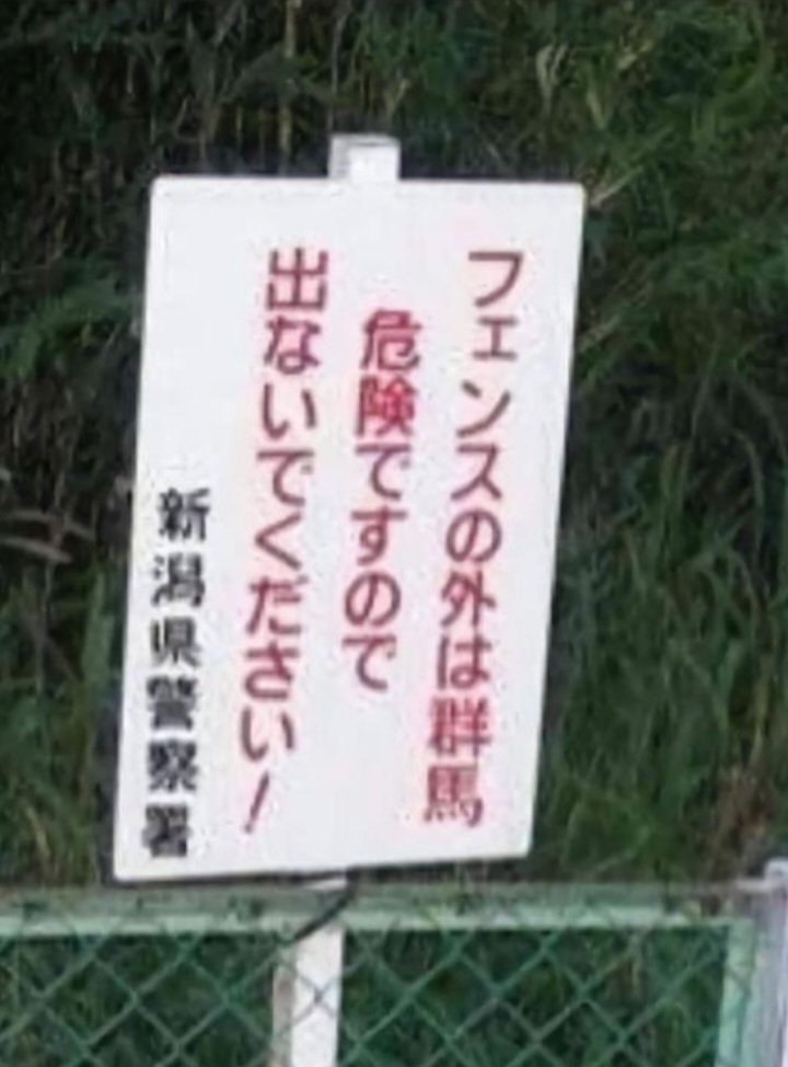 とんこつきよ ゴパルゴンジ tweet media
