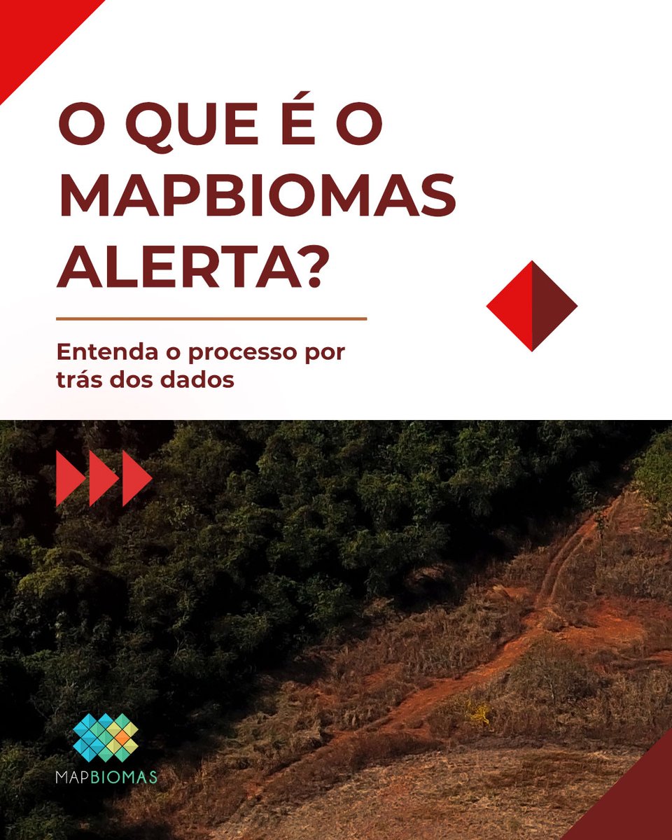 MapBiomas tweet media