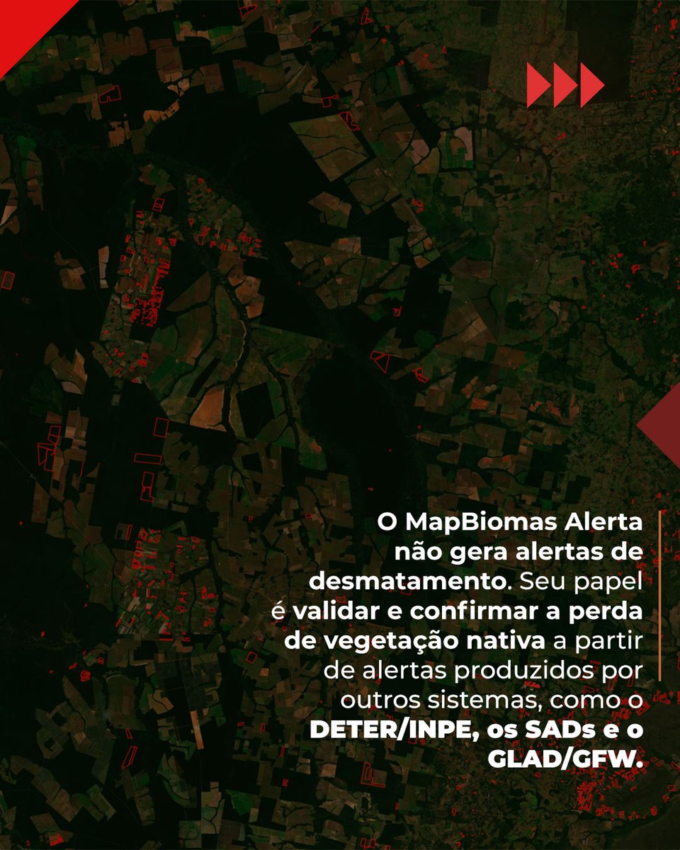 MapBiomas tweet media