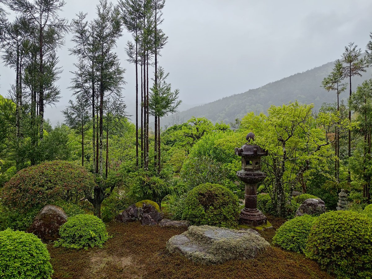 おはようございます。
今日もよい一日でありますように🙏