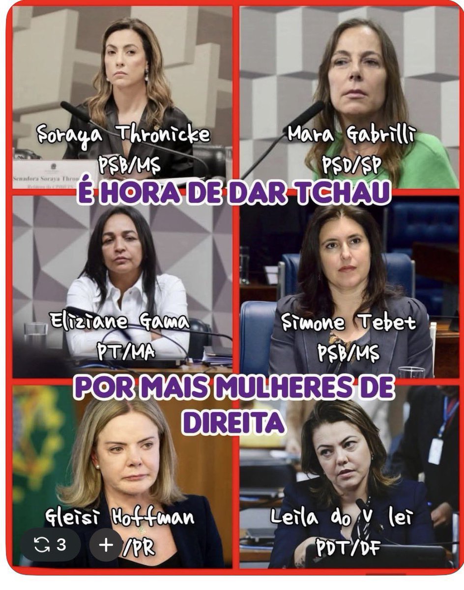 Sueli Rizzi 🌻🇧🇷 tweet media