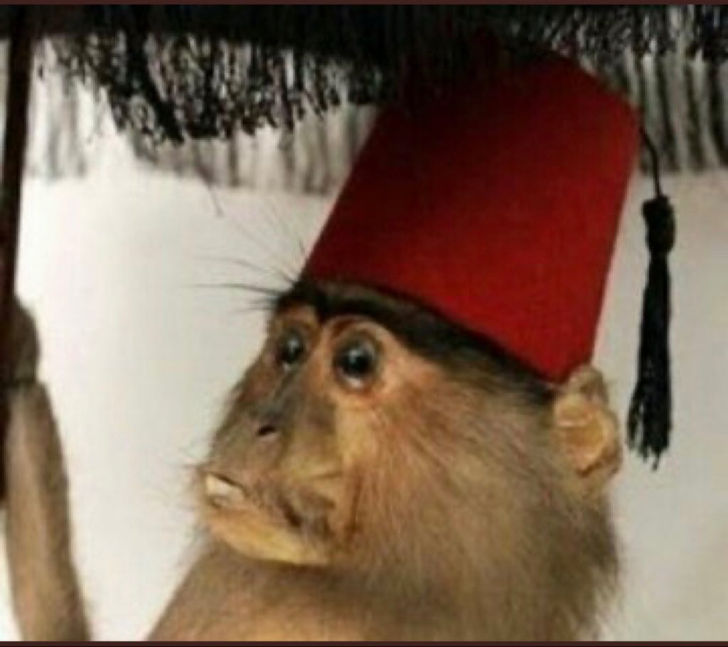 KÜRŞAD 🇹🇷 tweet media