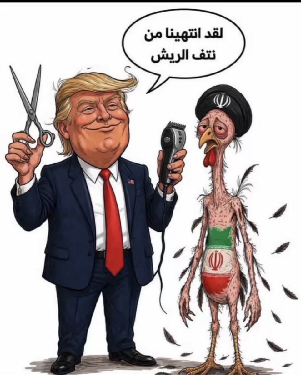 هواجيس ابدوي tweet media