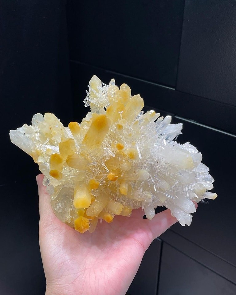 GeologyWonders1's tweet image. Beautiful mango quartz cluster From Colombia.

📷 xue_mineralcollector

#minerals #geology