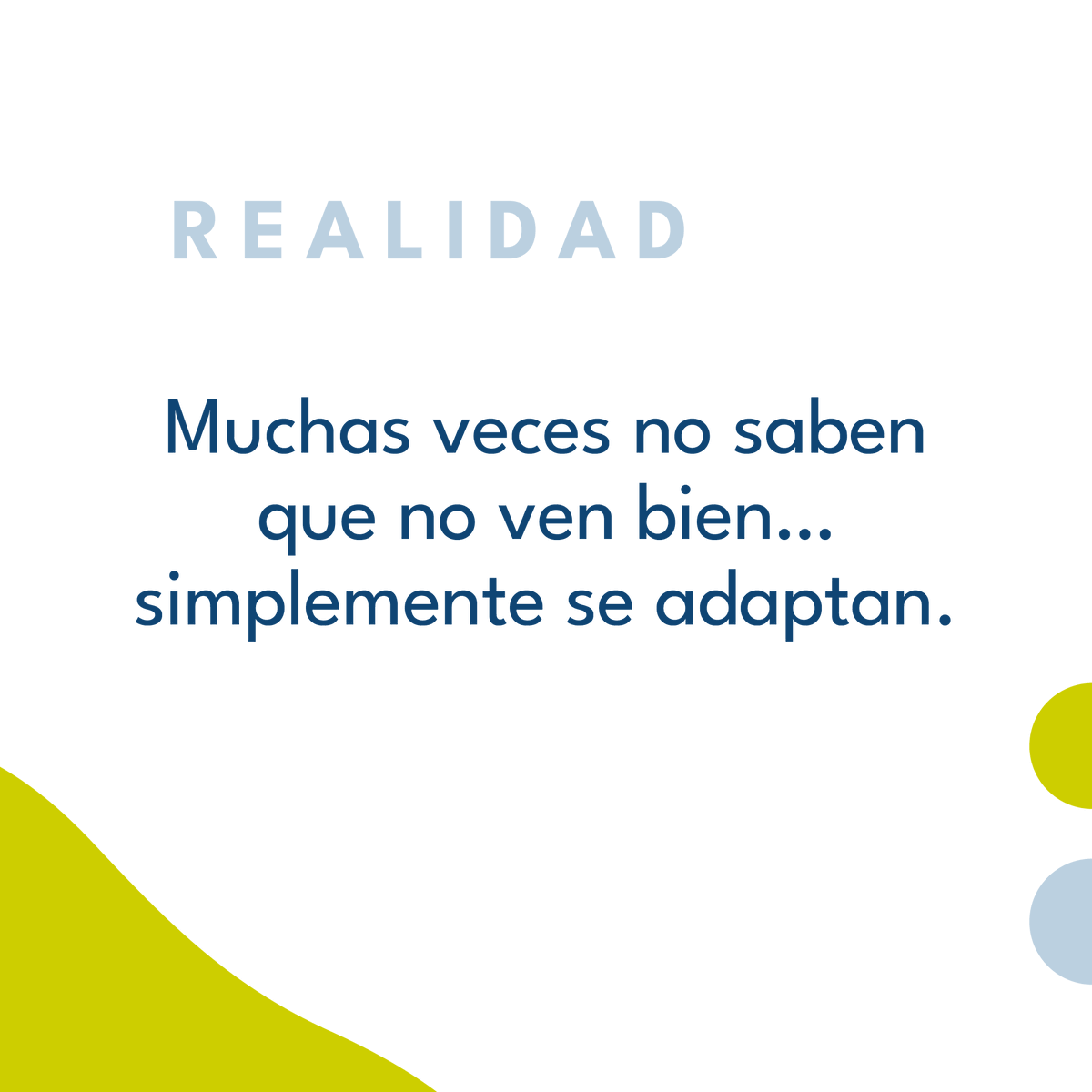 VerBien tweet media