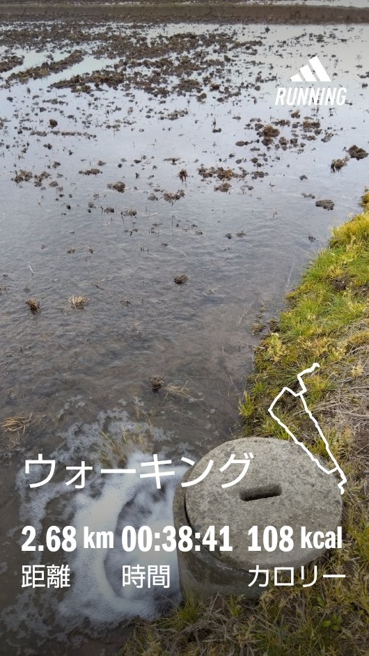 今野綾子（𝙇𝙤𝙪𝙞𝙨） tweet media