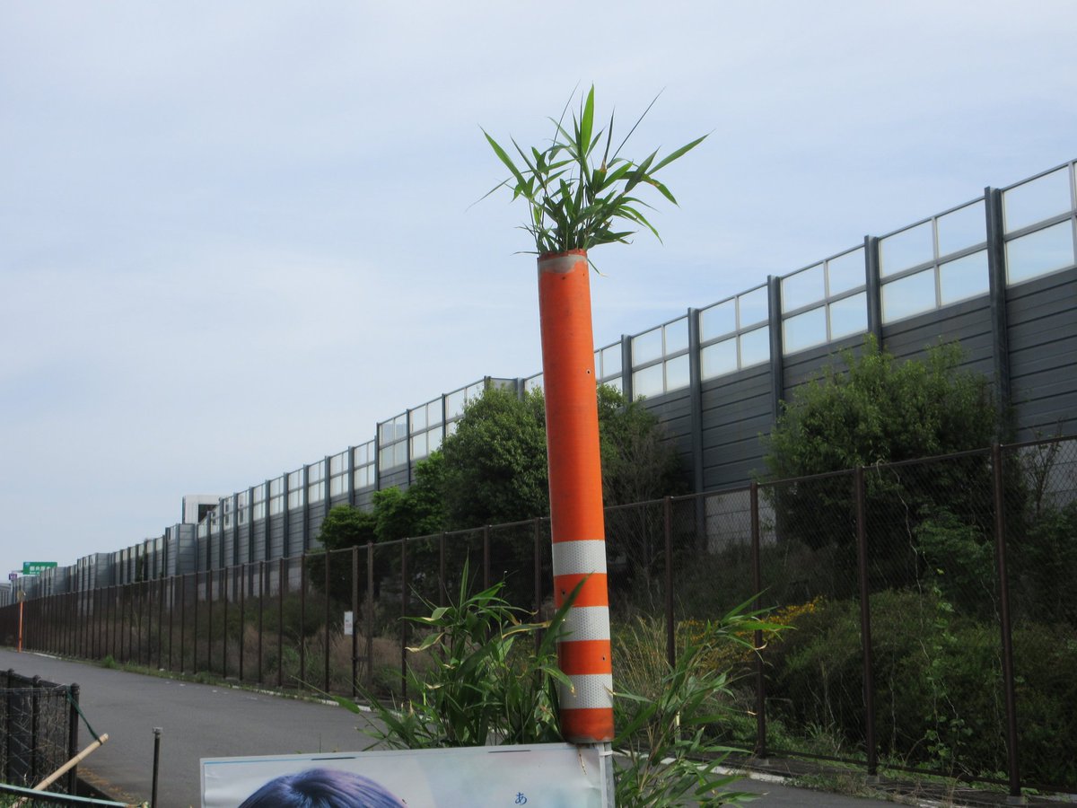 おはようございます
5月もたくましく…
#壺庭