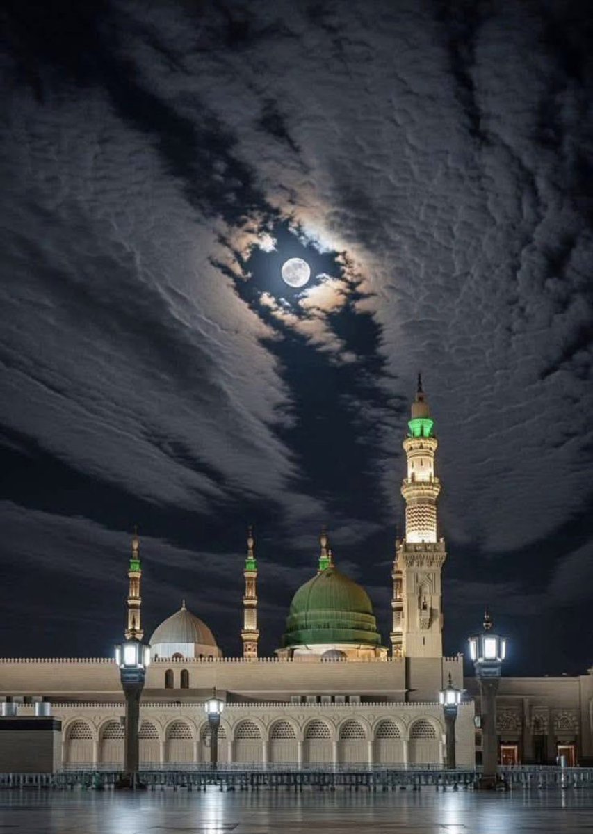 🌗 tweet media