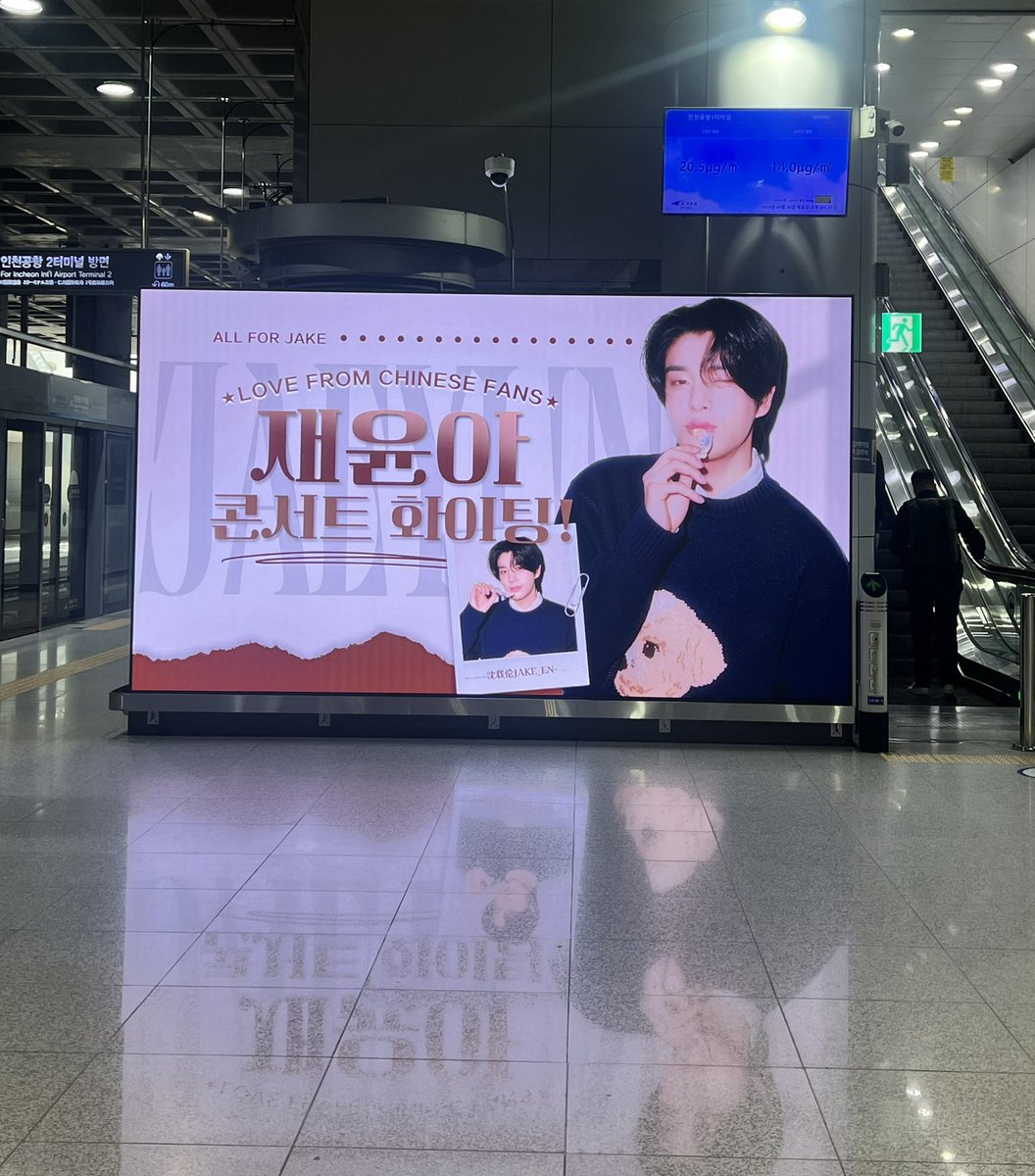 白いタヌキ🧷하얀 너구리 tweet media