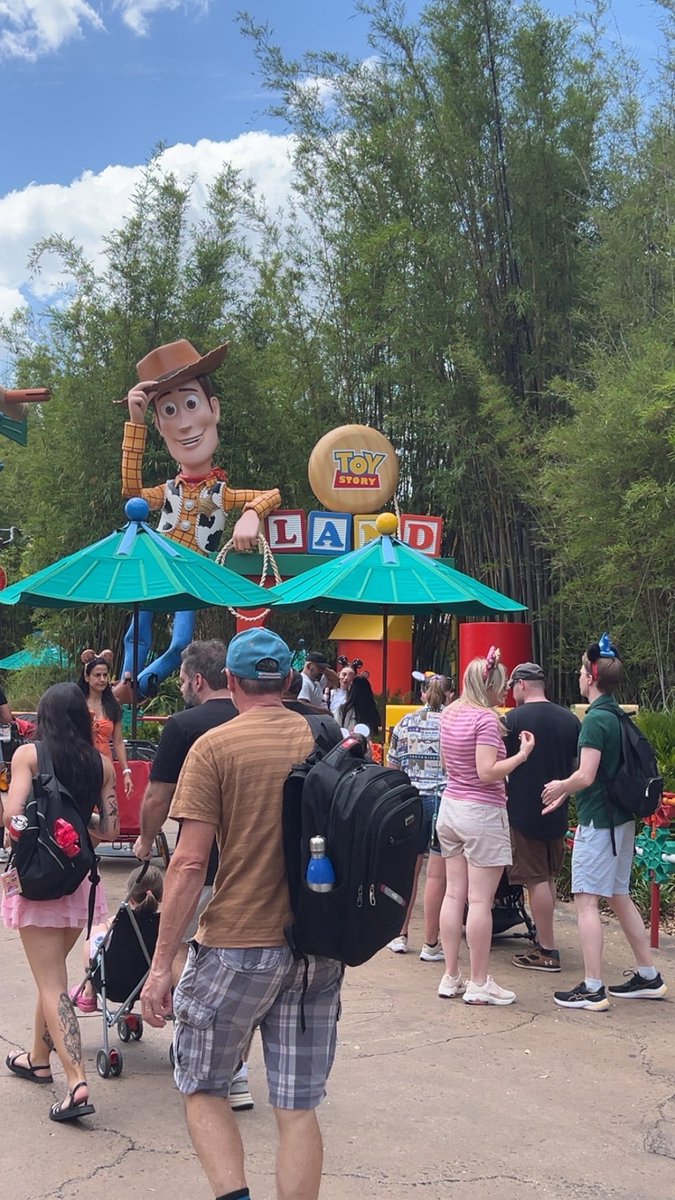 What an amazing day at Disney world