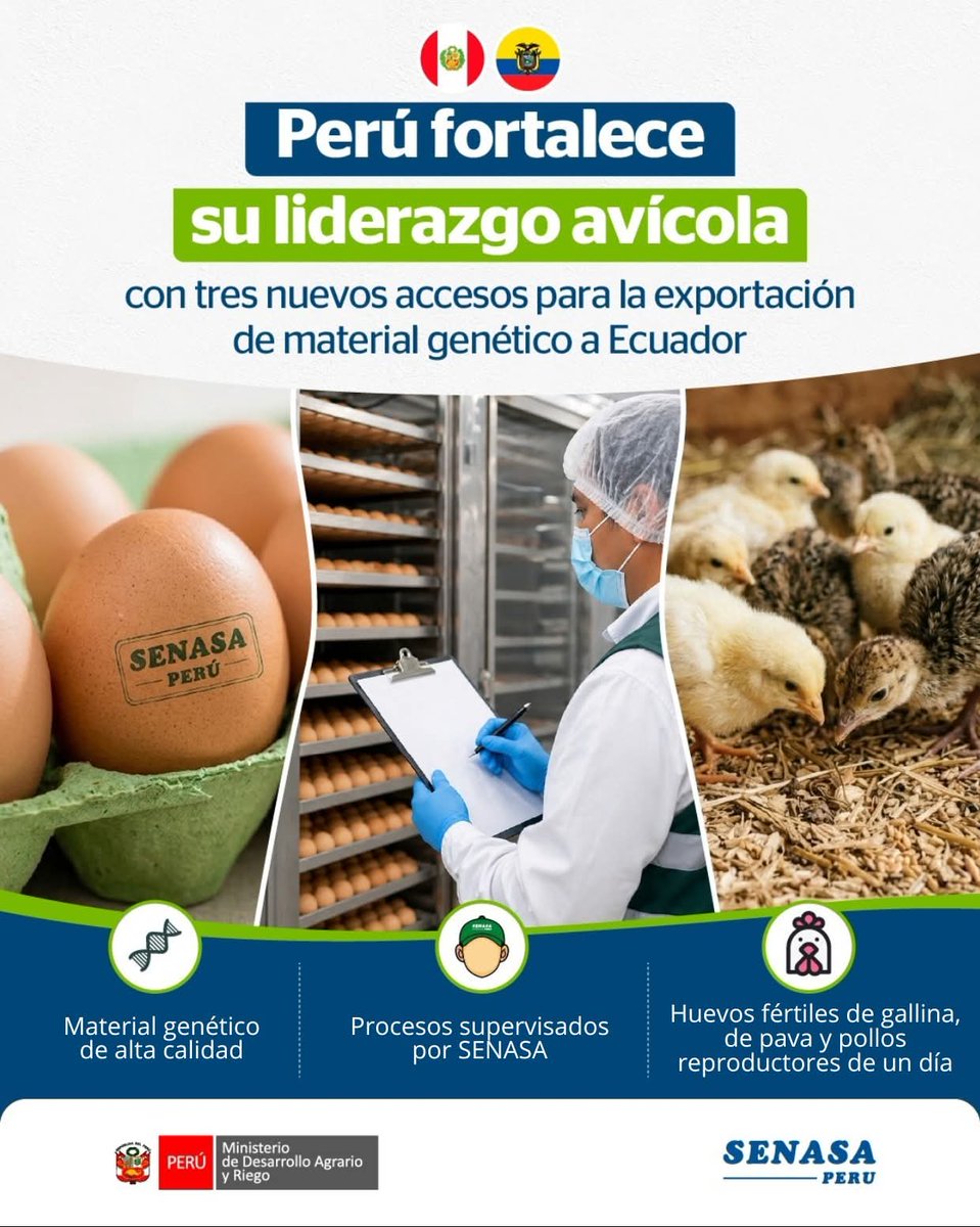 Senasa Perú tweet media