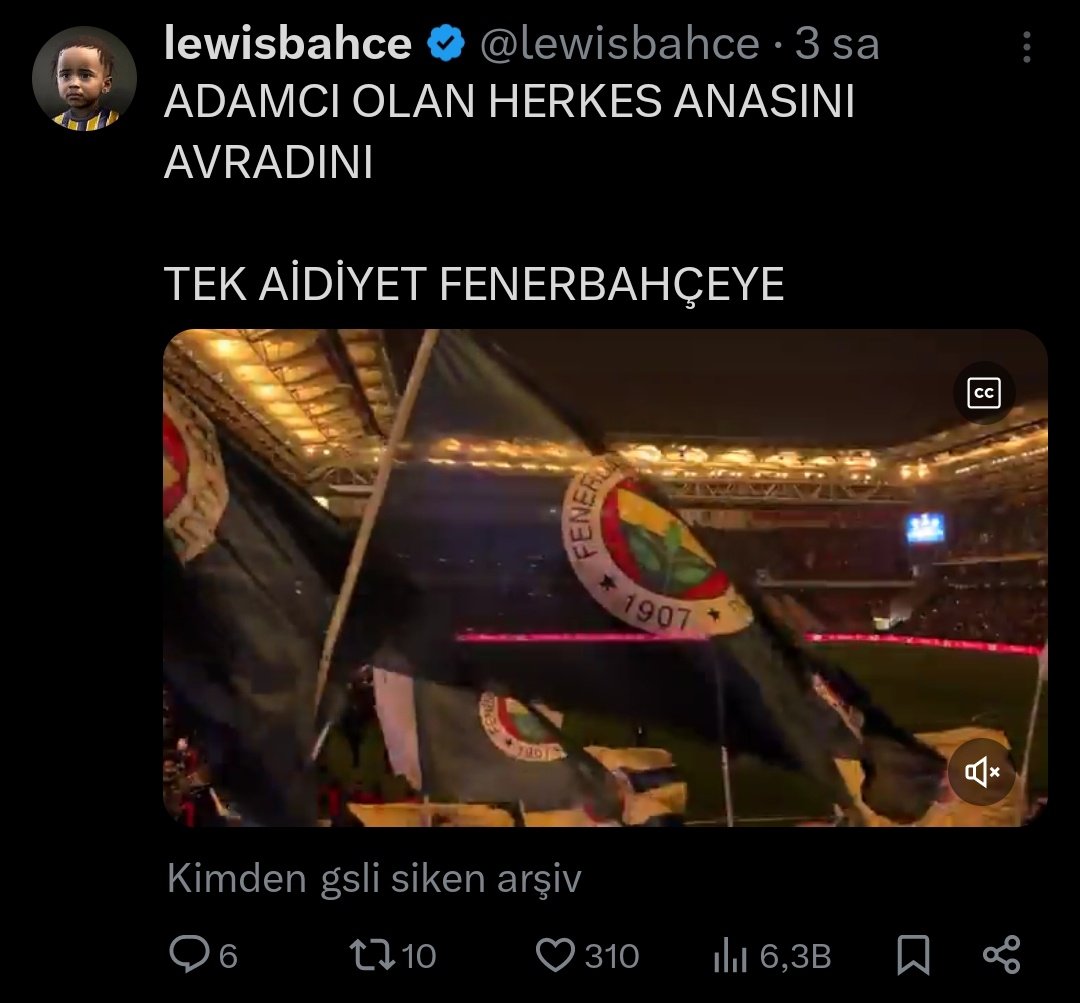 Robin tweet media