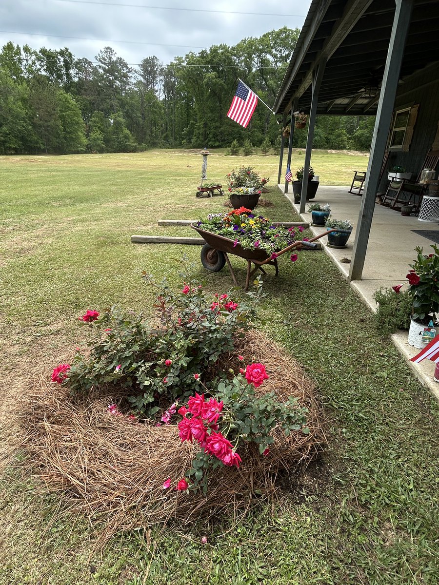 MisterG_144's tweet photo. Lunch break! What happens when I bring lunch to the porch..WAY TOO MANY DISTRACTIONS.
More to follow later!
๐บ๐ธ๐
ฐ๏ธ๐๐ฆต๐ผ๐ฆต๐ผG๐โ๐ผโ๏ธโ๏ธ
#PhotographyTips (Pro tip from #NotYourAverageRedneck from central Alabama .. JUST OPEN YOUR EYES! Thatโs it.๐) #Gardening #ExplosionOfColor #USAFirst (Thanks @POTUS for cleaning up the Biden - Harris Disaster)