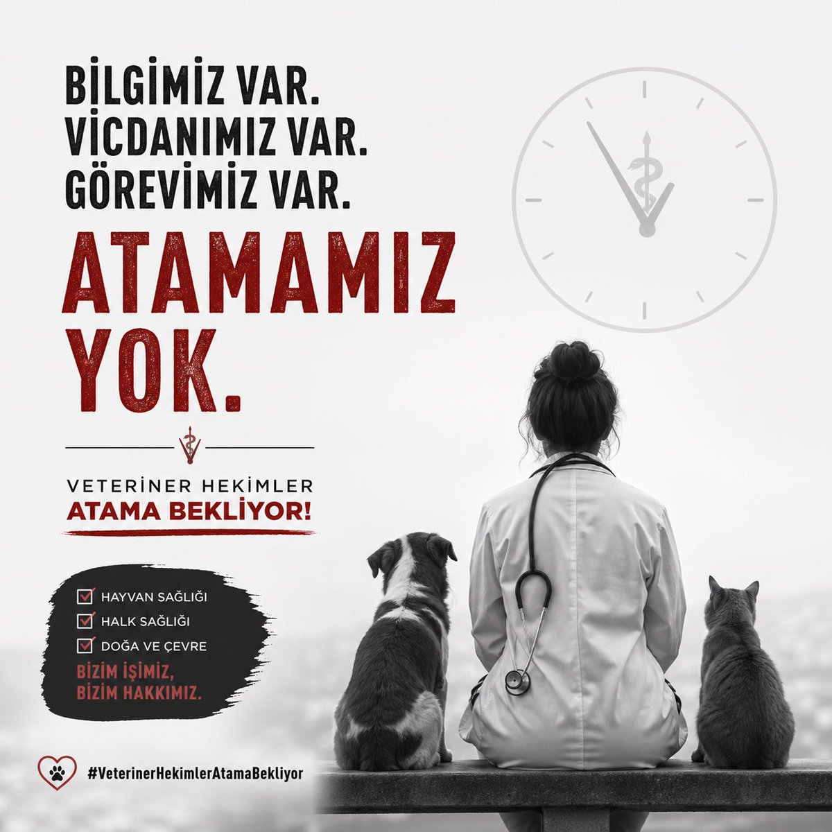 VetHekim Atama tweet media
