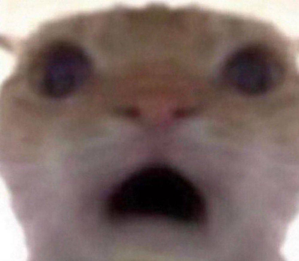 ᅠᅠᅠᅠ 大地 ——— 𝗤𝗨𝗔𝗞𝗘𝗦 tweet media