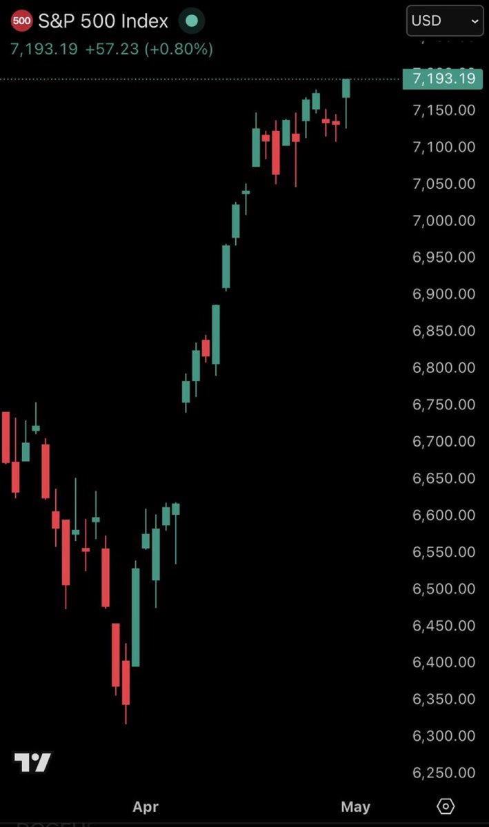 Bitbull tweet media