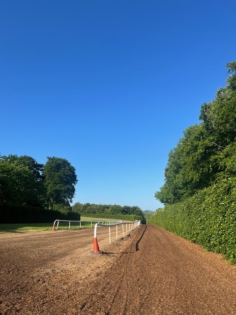 jordancs001's tweet photo. Glebe House.....Once-In-A-Generation opportunity to acquire one of Ireland’s most iconic racing establishments —home of  the legendary Jim Bolger. 150 acres | Period residence | World-class training facilities. https://t.co/7JuNc0s5NG #JordanAuctioneers #GlebeHouse #JimBolger https://t.co/fwAqI2Yo74