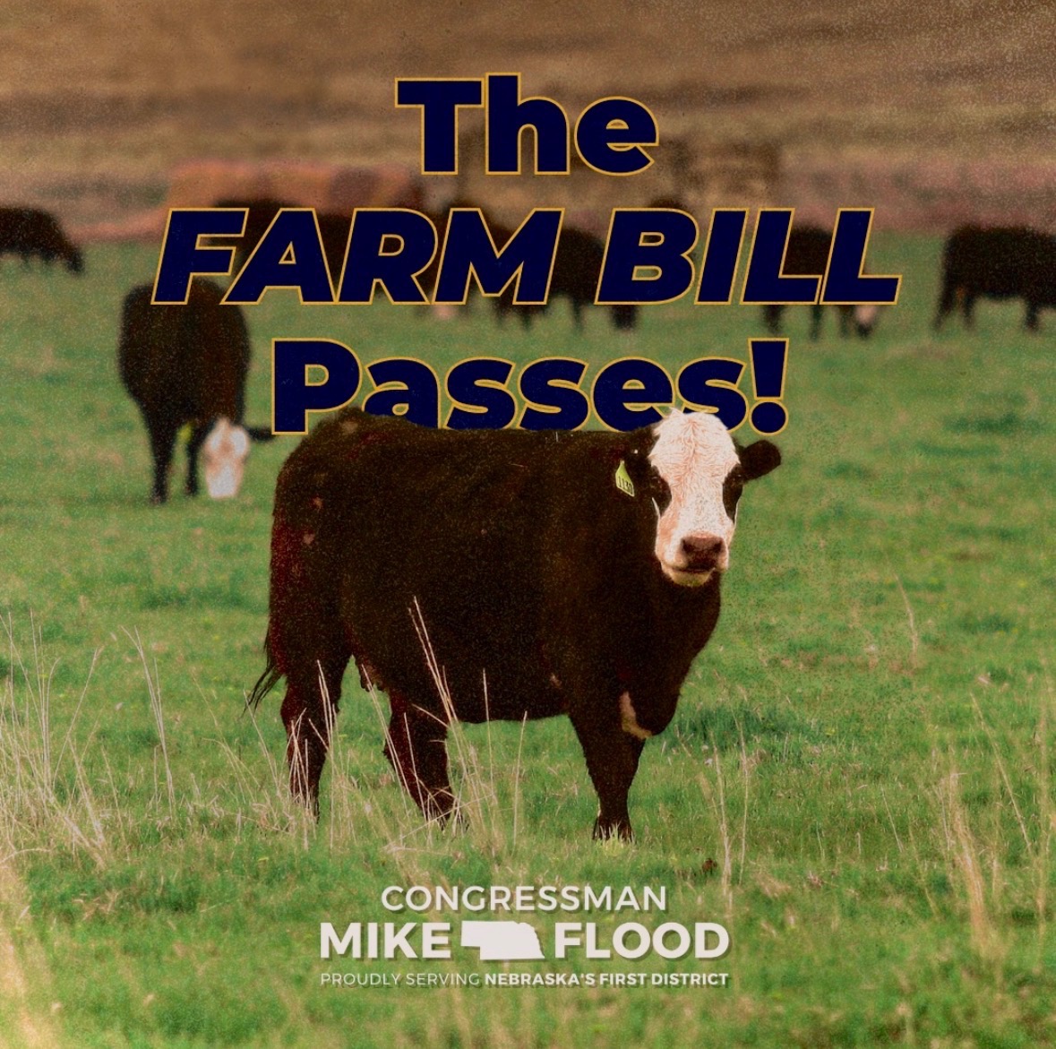 Rep. Mike Flood tweet media