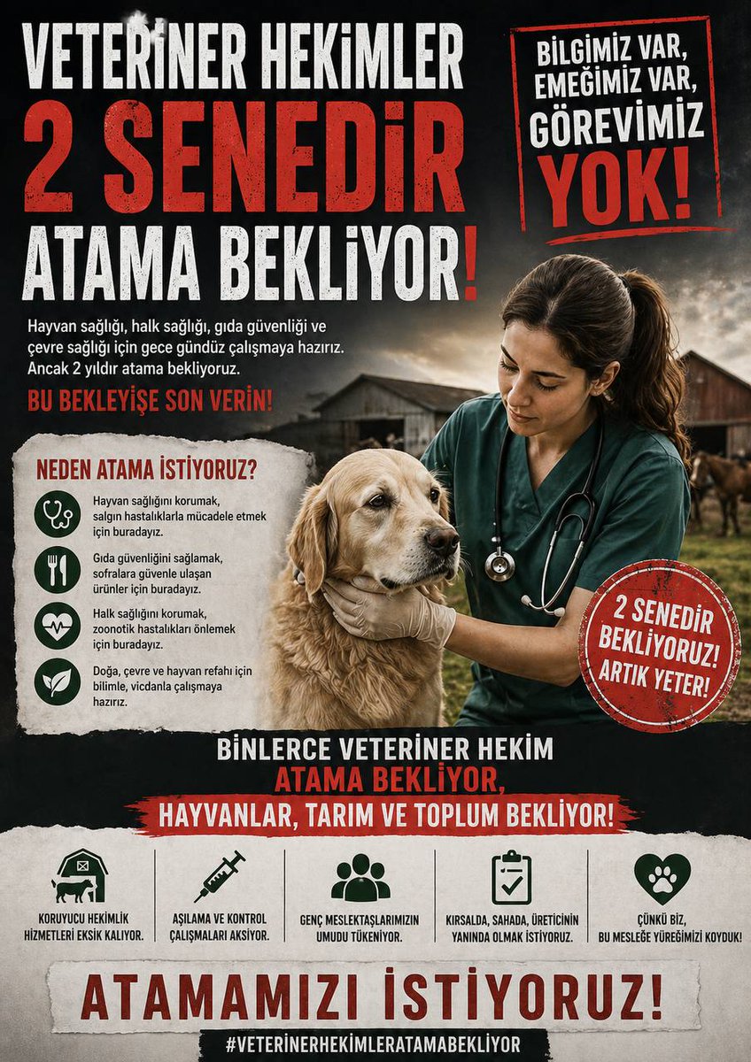Erdembayatli10's tweet photo. Veteriner hekim atamaları gecikmeden yapılmalıdır. #TobAtamaBekliyor @RTErdogan @_cevdetyilmaz @HMBakanligi @TCTarim @memetsimsek @ibrahimyumakli https://t.co/X4ET3Ir29O