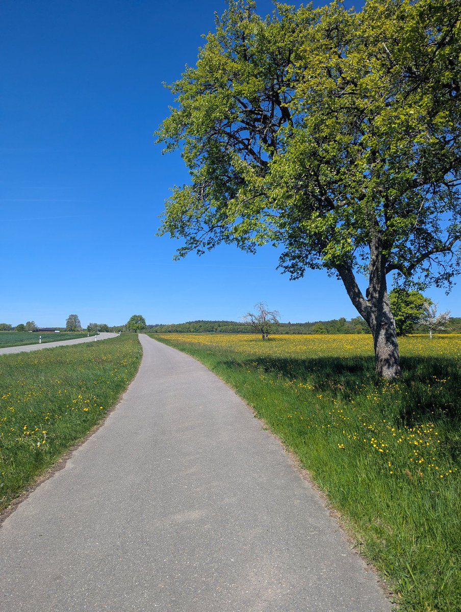 Unterwegs von Weisbach nach Neckargerach #wandern #Odenwsld