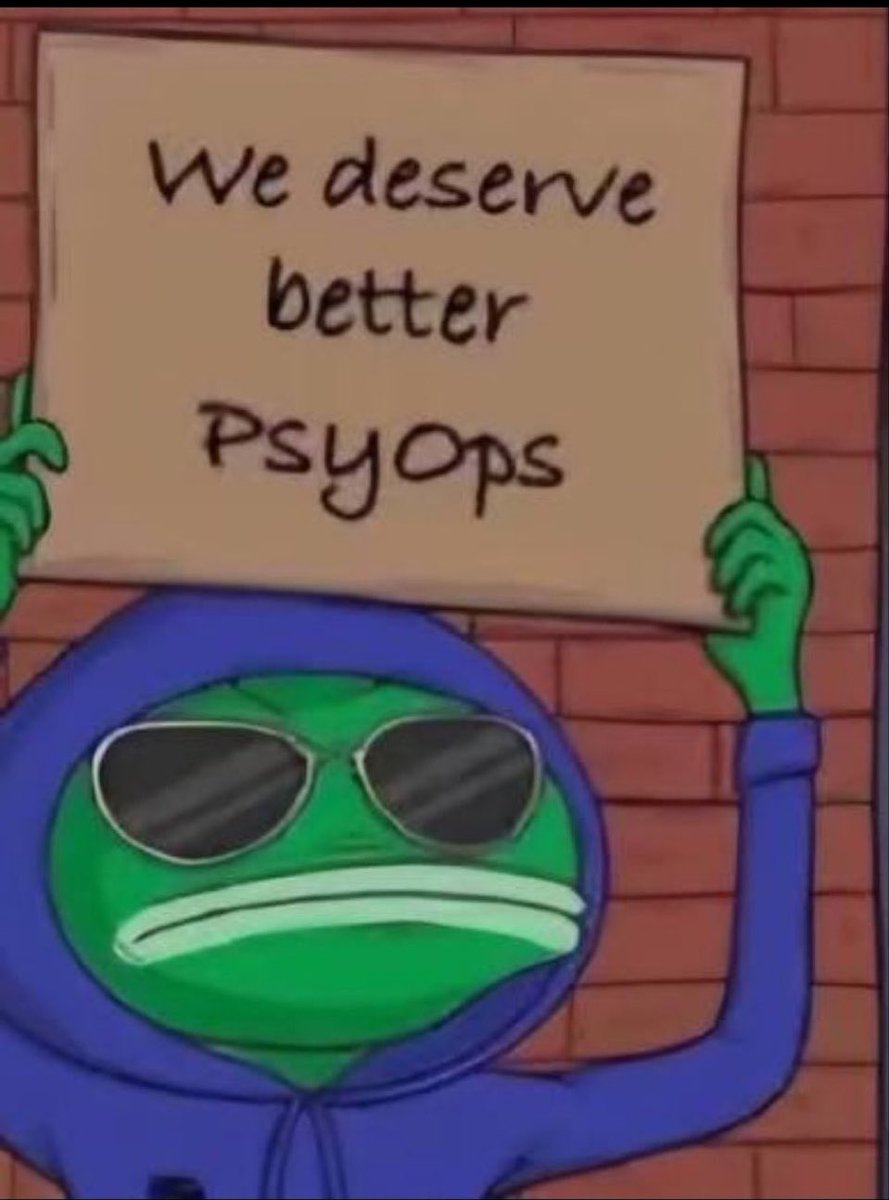Qute Gato tweet media