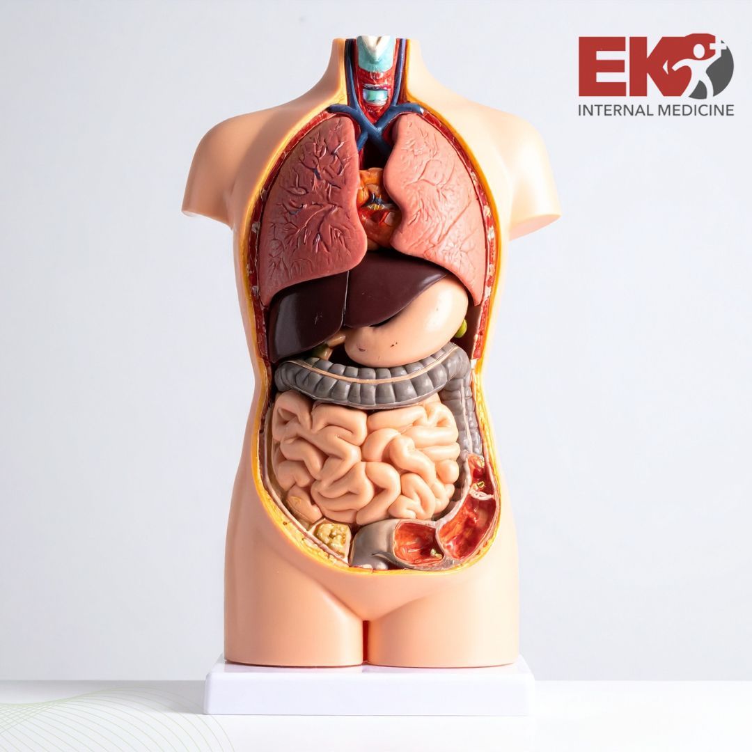 EkoInternalMed's tweet image. Life gets busy, but your health shouldn’t take a back seat! We are here to make care simple, accessible, and centered around YOU.

Because taking care of yourself is never optional.

🌐 medspa.ekointernalmed.com/iv-infusion-th… 

#internalmedicine #eko #health #wellness #tennessee