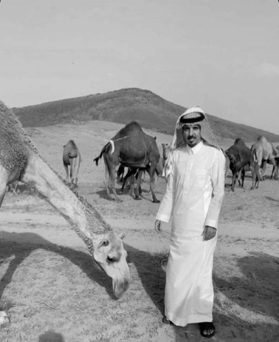 هنيـالك . . 🇰🇼 tweet media