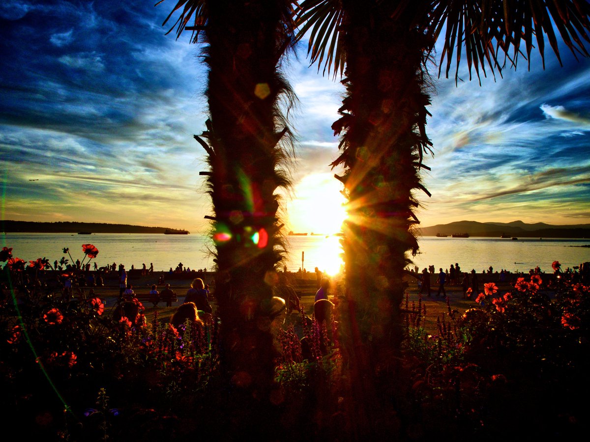 thighiguy's tweet image. sunset at English Bay #sunsets #surrealism #photo #photography #photographer #olympuscameras
my 📷 🇨🇦