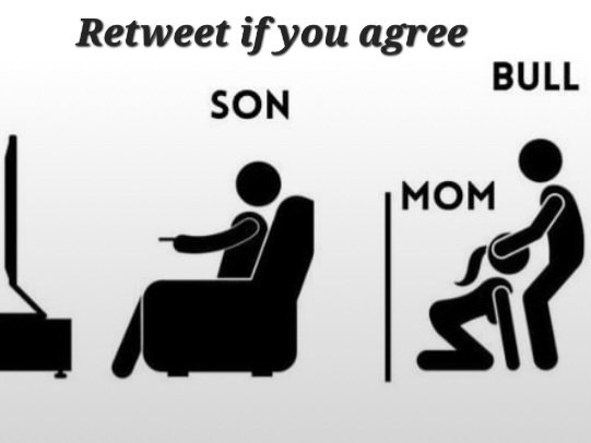 family bull 🐂 tweet media