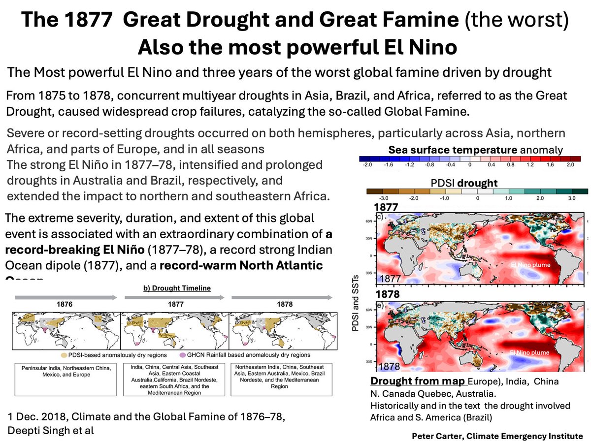 PCarterClimate's tweet image. STRONGEST EL NINO, WORST WORLD DROUGHT &amp;amp; FAMINE,   
From 1875 to 1878, concurrent multiyear droughts in Asia, Brazil, and Africa, referred to as the Great Drought, caused widespread crop failures, catalyzing the so-called Global Famine. 
Cause: RECORD EL NINO (1877–78), a record
