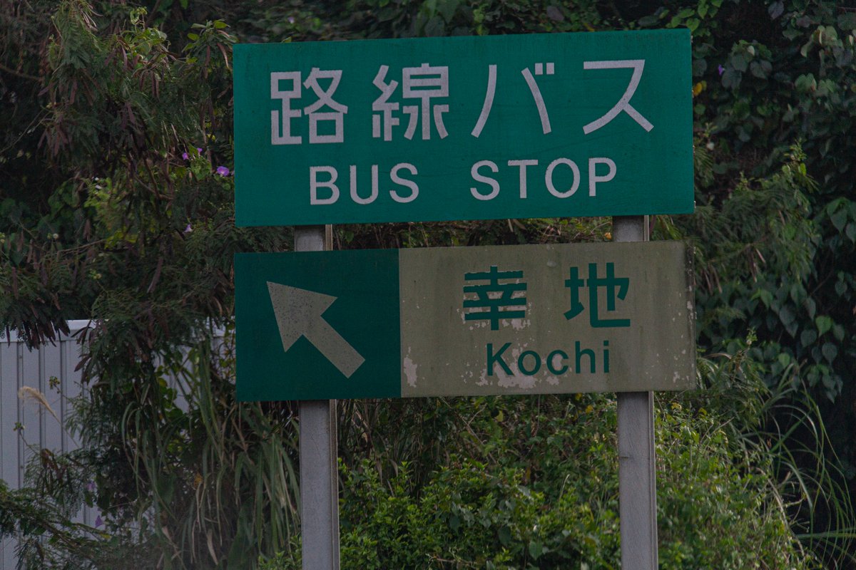 島田 六合 tweet media