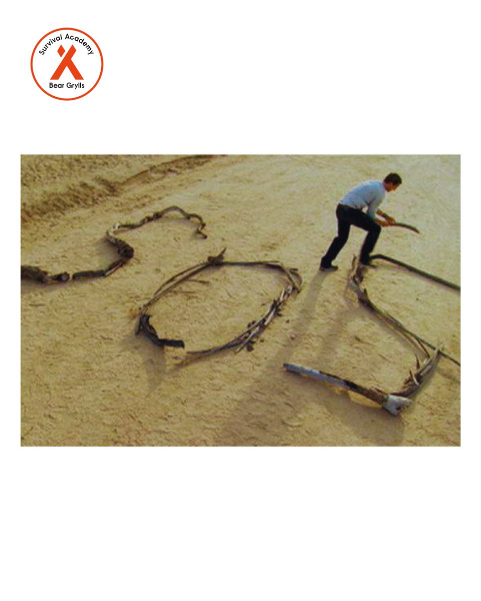 BGSurvival's tweet image. Even in survival, the strongest signal is this: asking for help.

Great leaders don’t carry everything alone—they know when to call, connect, and rely on their team.

#LeadershipInsight #NeverGiveUp #TeamDevelopment #LeadershipGrowth #CorporateTraining #ComfortZoneBreakers