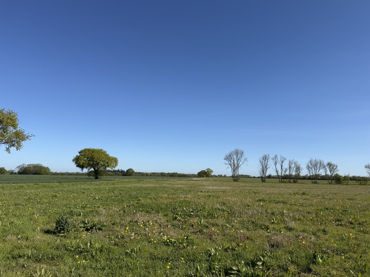 Chappers2013's tweet image. Another beautiful day in #yorkshire 😎