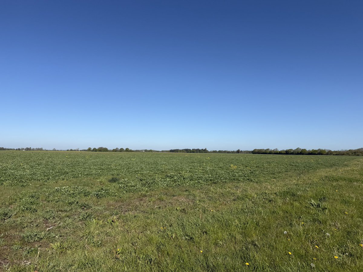 Chappers2013's tweet image. Another beautiful day in #yorkshire 😎