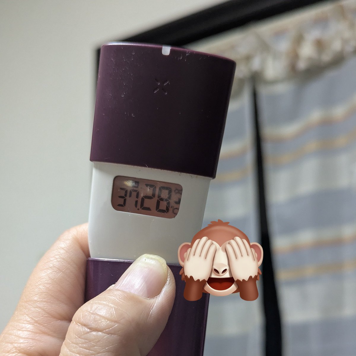 料理するみーあ。さん tweet media