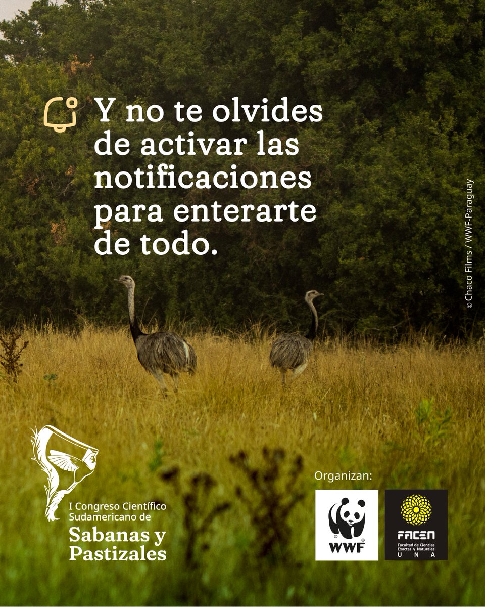 WWF-Paraguay tweet media