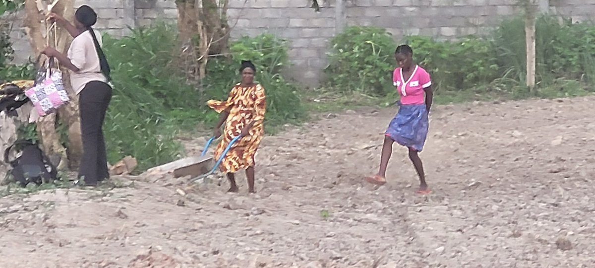 IsaacUcac's tweet photo. Pratique professionnelle de la grande culture avec les étudiants de la deuxième année de Licence. L' agronome est un homme de terrain et non de bureau. https://t.co/uuXPMiUBrO