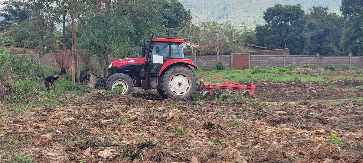 IsaacUcac's tweet photo. Pratique professionnelle de la grande culture avec les étudiants de la deuxième année de Licence. L' agronome est un homme de terrain et non de bureau. https://t.co/uuXPMiUBrO