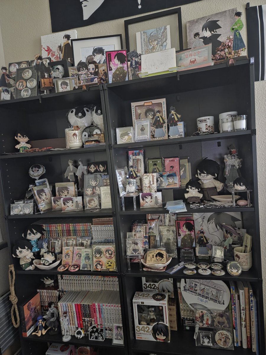 Itoshiki Light 🌸 tweet media