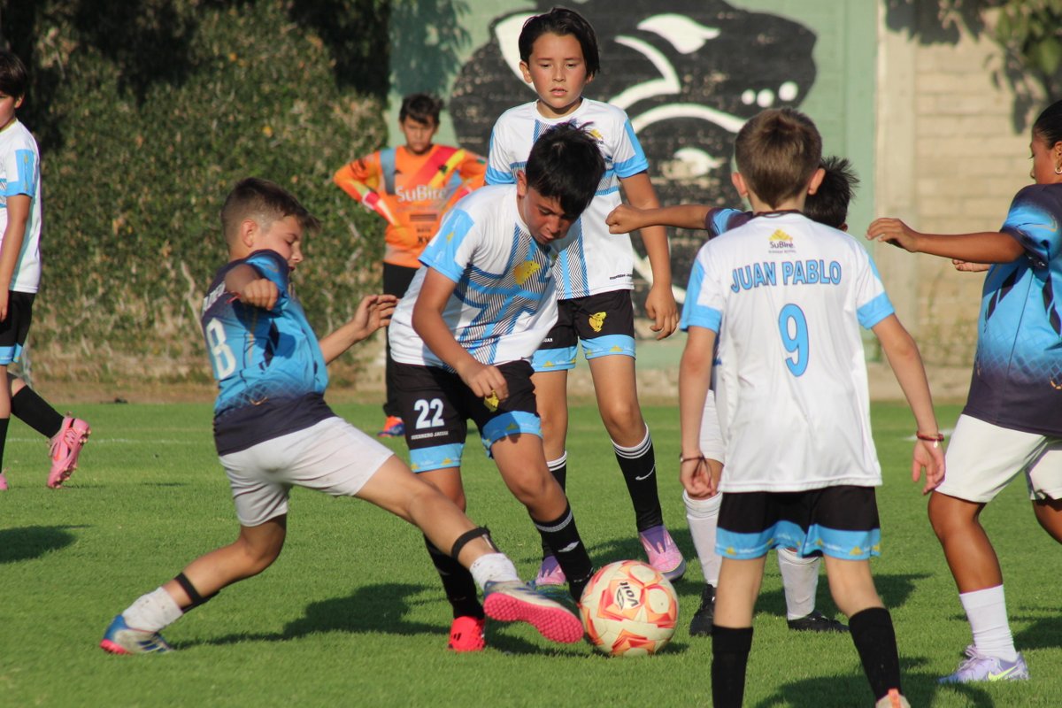 SuBiré Deportes tweet media
